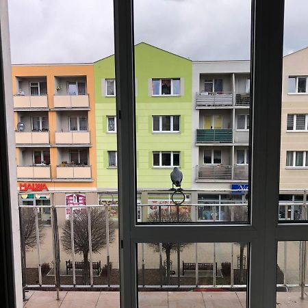 Apartament Kosciuszki Malbork Esterno foto