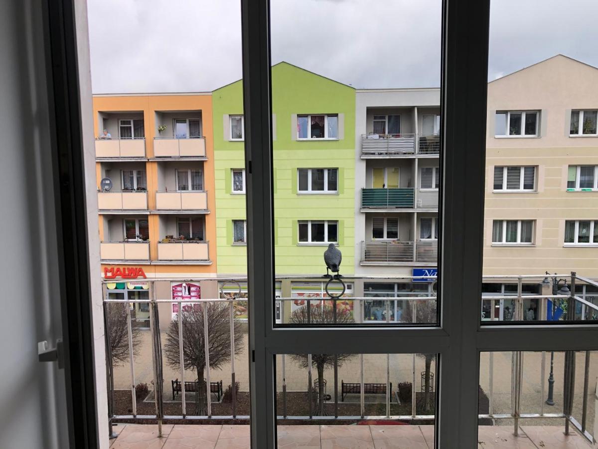 Apartament Kosciuszki Malbork Esterno foto